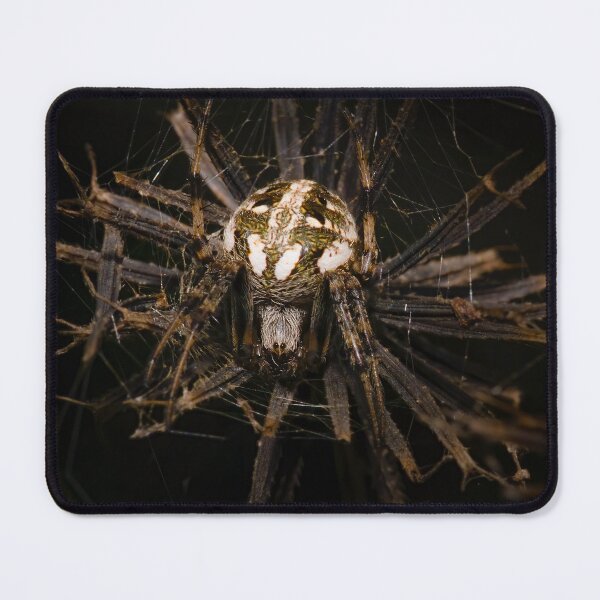 Item preview, Lair of the Orb Queen designed and sold by VisualVoyages.