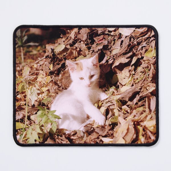 Item preview, Cat Jonny is lying in the leaves designed and sold by Gourmetkater.