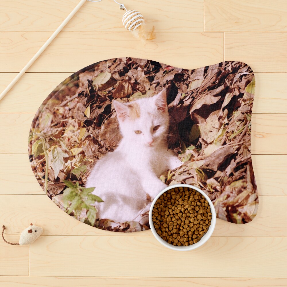 Artikel-Vorschau von Napfunterlage für Katzen, designt und verkauft von Gourmetkater.