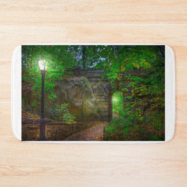 Item preview, The Magic of Central Park designed and sold by VisualVoyages.