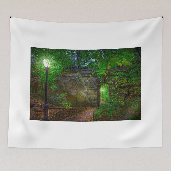 Item preview, The Magic of Central Park designed and sold by VisualVoyages.