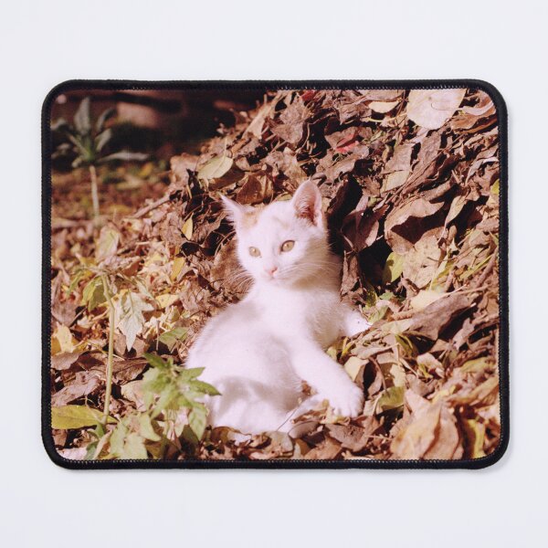 Item preview, Cat Jonny enjoys the autumn sun designed and sold by Gourmetkater.