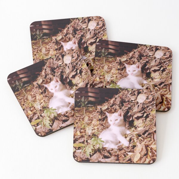 Item preview, Cat Jonny enjoys the autumn sun designed and sold by Gourmetkater.