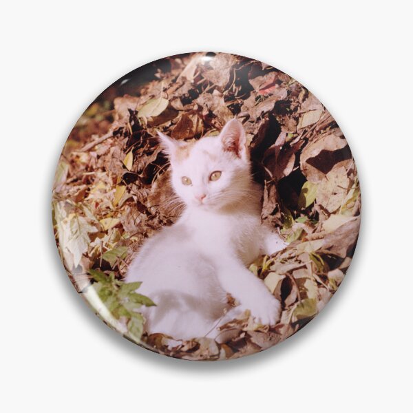 Item preview, Cat Jonny enjoys the autumn sun designed and sold by Gourmetkater.