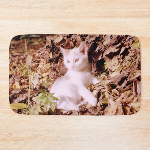 Item preview, Cat Jonny enjoys the autumn sun designed and sold by Gourmetkater.