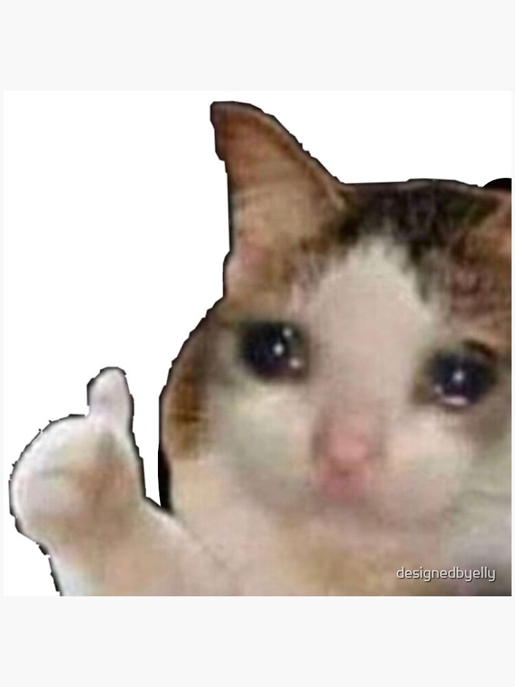 Sad Crying Meme Face | Sticker