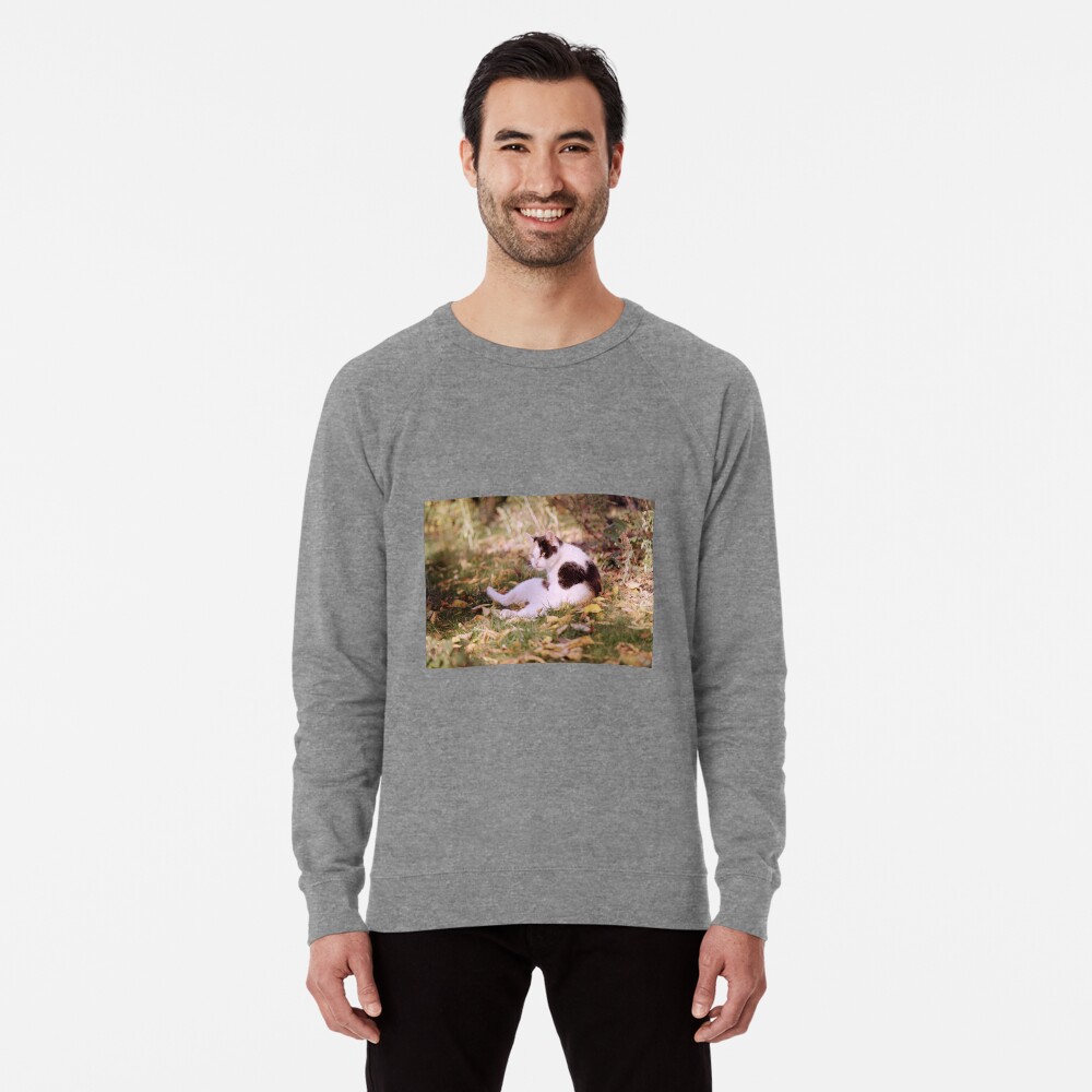 Artikel-Vorschau von Leichter Pullover, designt und verkauft von Gourmetkater.