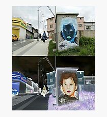 Mural Photographic Print