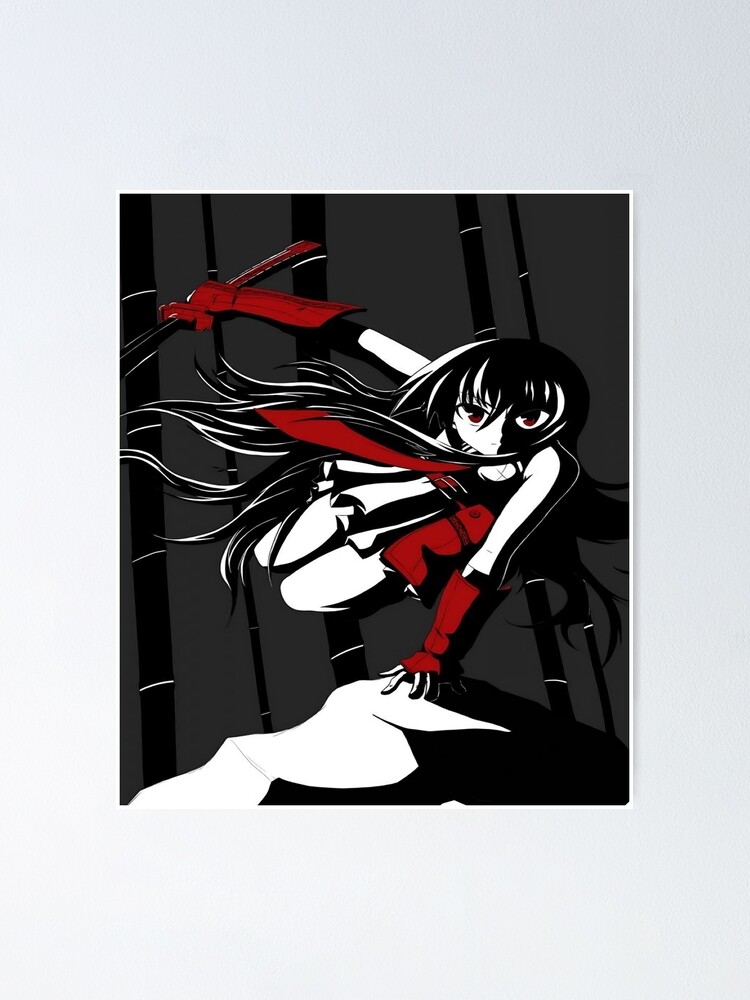 akame ga kill Poster for Sale by mannamani