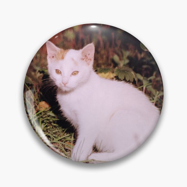 Item preview, Cat Jonny designed and sold by Gourmetkater.