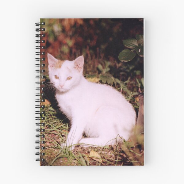 Item preview, Cat Jonny designed and sold by Gourmetkater.