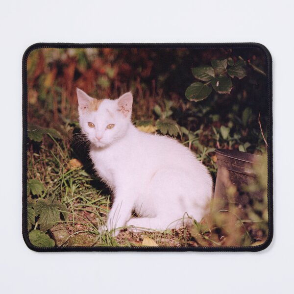 Item preview, Cat Jonny designed and sold by Gourmetkater.