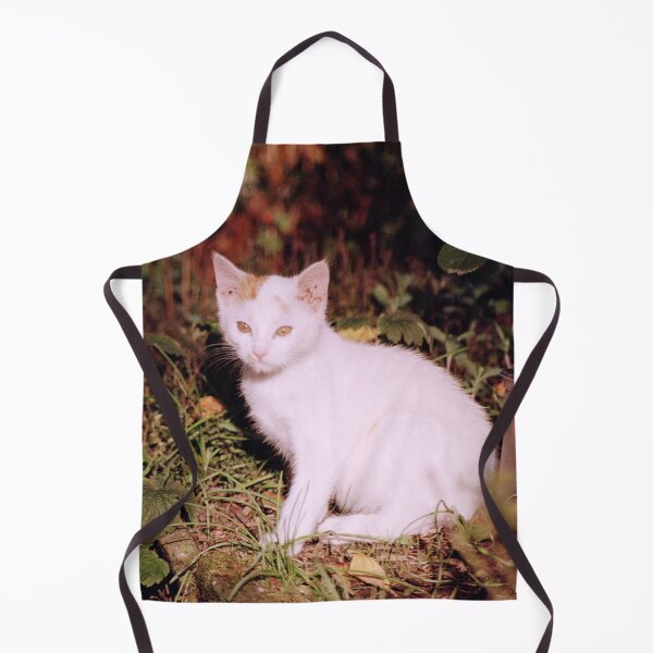 Item preview, Cat Jonny designed and sold by Gourmetkater.