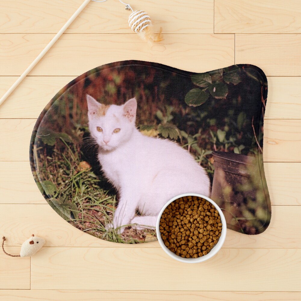 Artikel-Vorschau von Napfunterlage für Katzen, designt und verkauft von Gourmetkater.