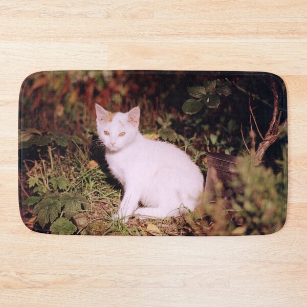 Item preview, Cat Jonny designed and sold by Gourmetkater.