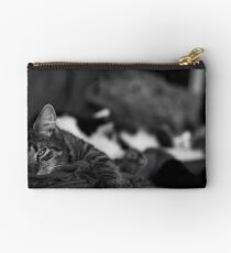 Sleepy Kitten Studio Pouch