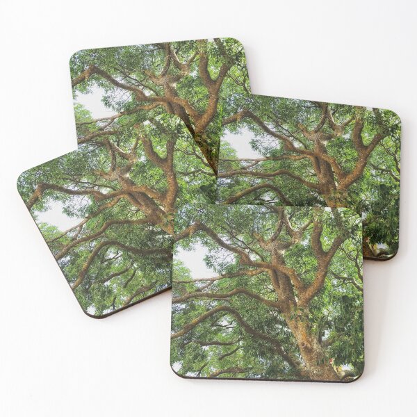 Item preview, Photograph Of A Tree in Full Leaf Nature Green nickbrayimages designed and sold by nickbrayimages.