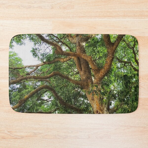 Item preview, Photograph Of A Tree in Full Leaf Nature Green nickbrayimages designed and sold by nickbrayimages.