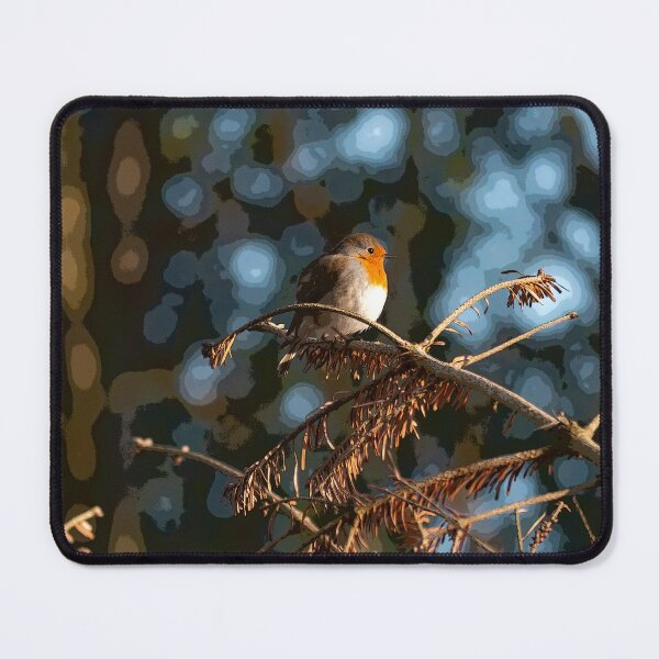 Item preview, Robin in Winter. designed and sold by GingerMan2550.