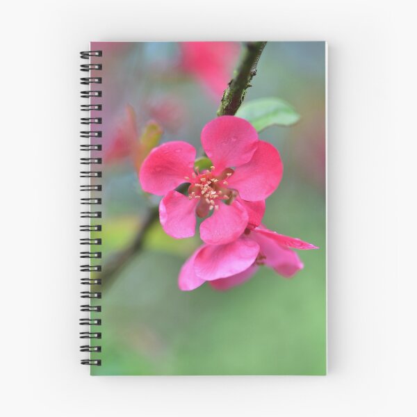 Item preview, Pink blossom designed and sold by Jasminka.