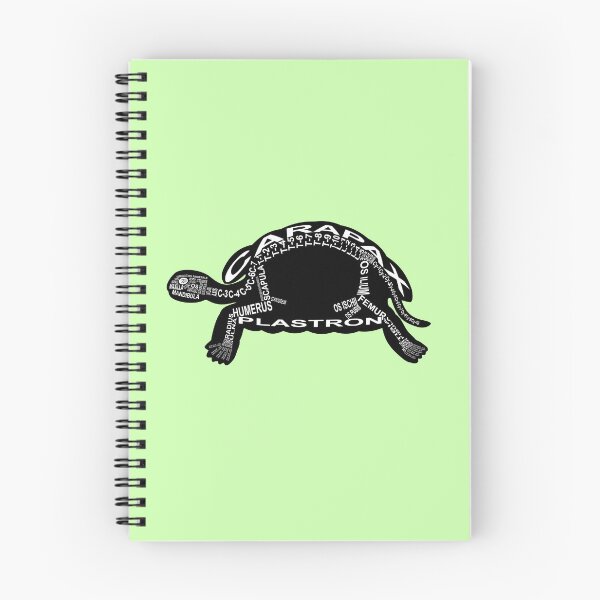 Item preview, Turtle Skeleton designed and sold by WortAnatomie.