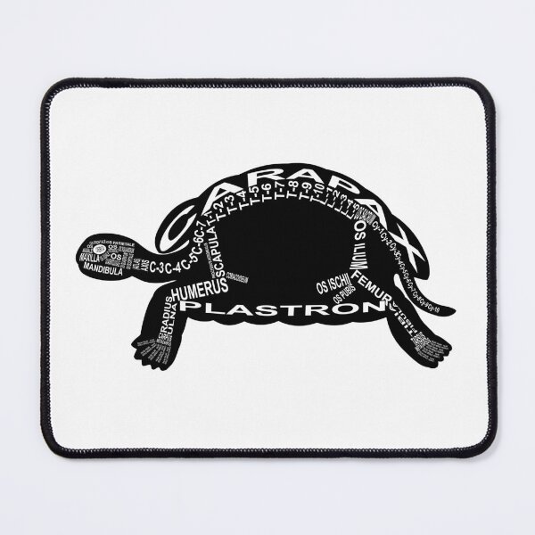 Item preview, Turtle Skeleton designed and sold by WortAnatomie.