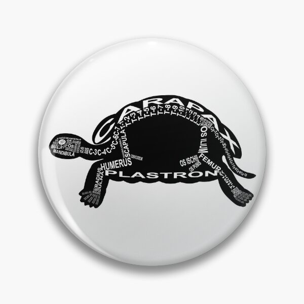 Item preview, Turtle Skeleton designed and sold by WortAnatomie.
