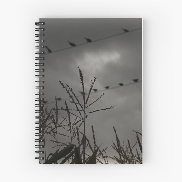 Aperçu de l'œuvre Oiseaux sur une ligne créée et vendue par Patterns4Nature.