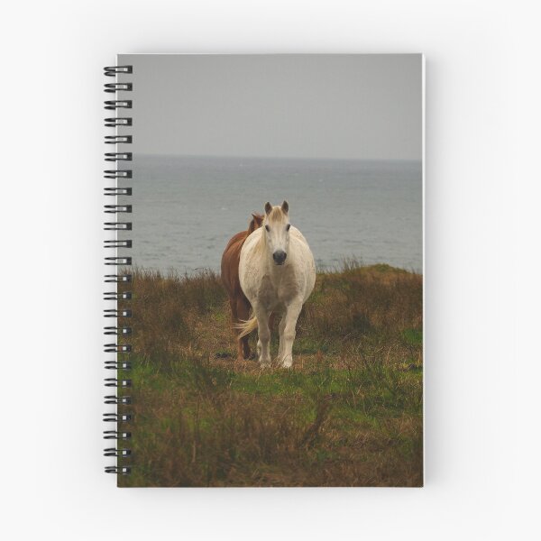 Item preview, Seeing double designed and sold by Russell-photos.
