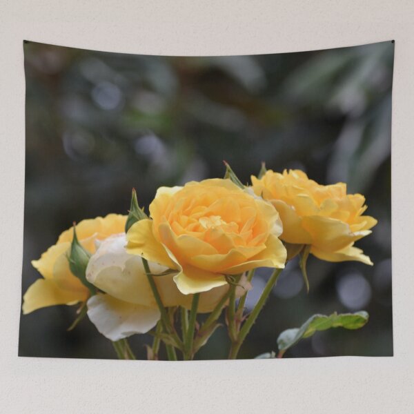 Item preview, Yellow roses growing over the fence designed and sold by lizdomett.