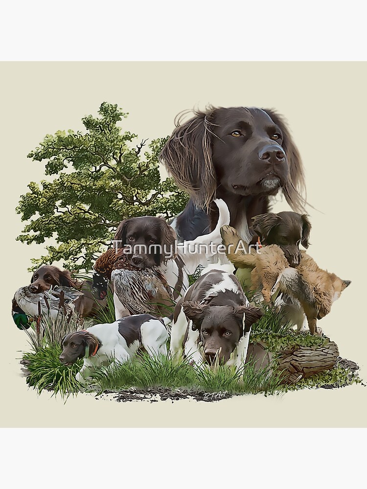 Versatile best sale hunting dogs