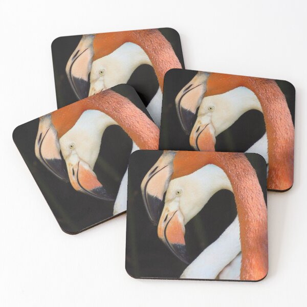Item preview, Caribbean Flamingo  designed and sold by Sharon the Zoo Lady Photography .
