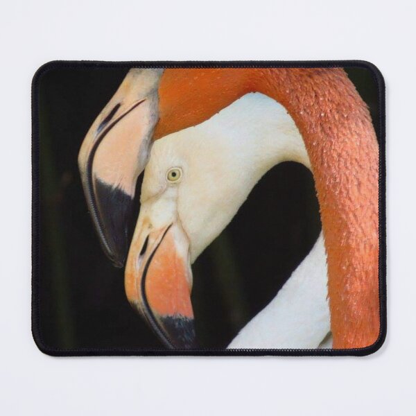 Item preview, Caribbean Flamingo  designed and sold by Sharon the Zoo Lady Photography .