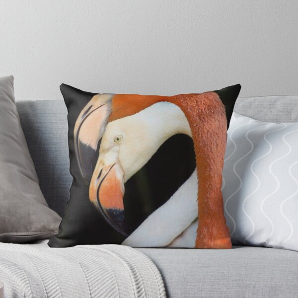 Item preview, Caribbean Flamingo  designed and sold by Sharon the Zoo Lady Photography .