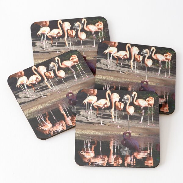 Item preview, Caribbean Flamingo  designed and sold by Sharon the Zoo Lady Photography .