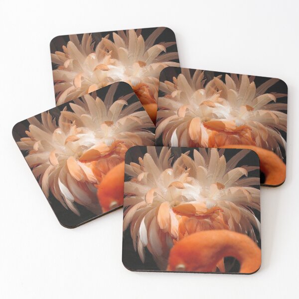 Item preview, Caribbean Flamingo  designed and sold by Sharon the Zoo Lady Photography .