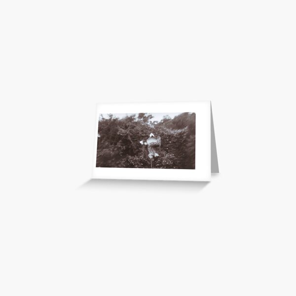 urban flight Greeting Card