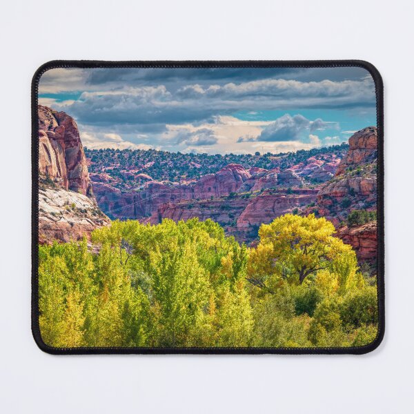 Item preview, Aspens in the Escalante designed and sold by Viv Thompson Photography .