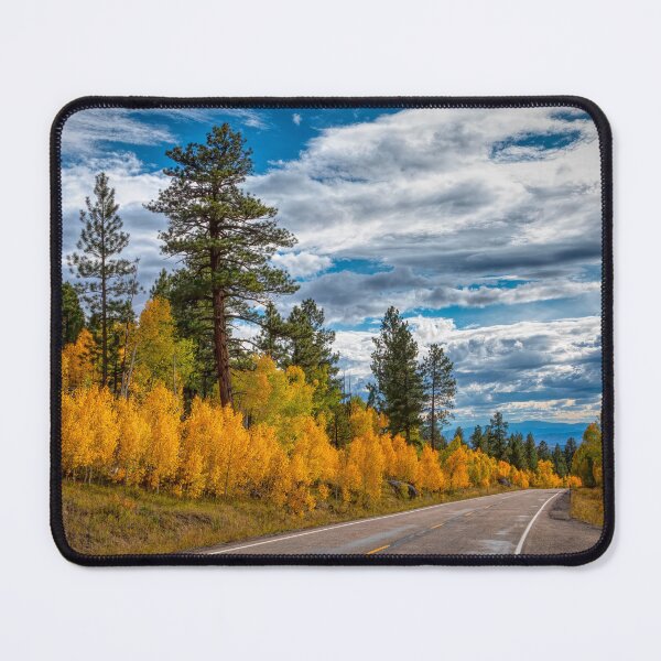 Item preview, Highway 12 designed and sold by Viv Thompson Photography .