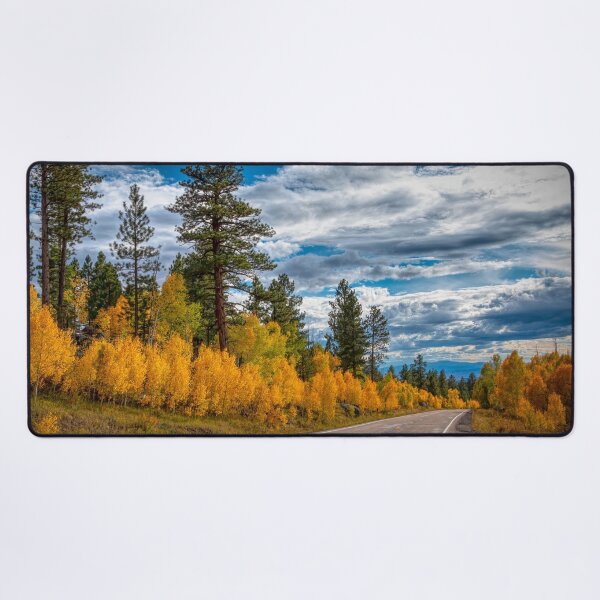 Item preview, Highway 12 designed and sold by Viv Thompson Photography .