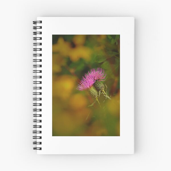 Item preview, Focused designed and sold by MortonDesigns.