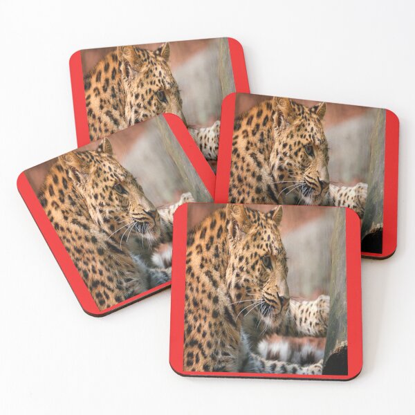 Item preview, OBSERVING TIGRESS designed and sold by solgel47.