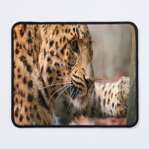 Item preview, OBSERVING TIGRESS designed and sold by solgel47.
