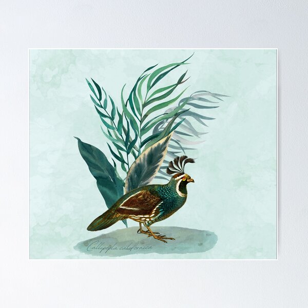 Item preview, California quail (Callipepla californica) designed and sold by musicora.