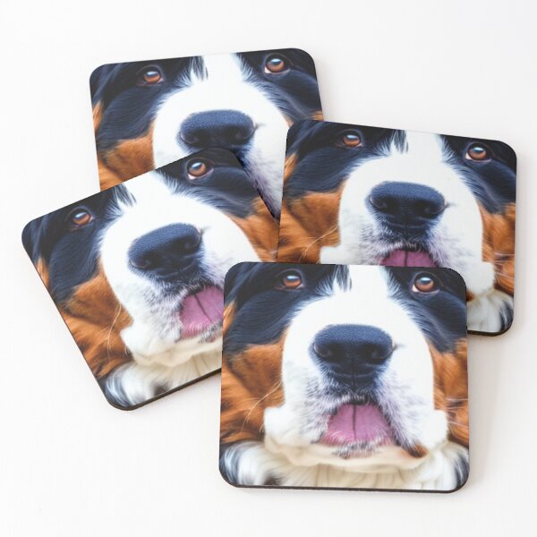 Item preview, Bernese Mountain Dog Face designed and sold by Merigold.