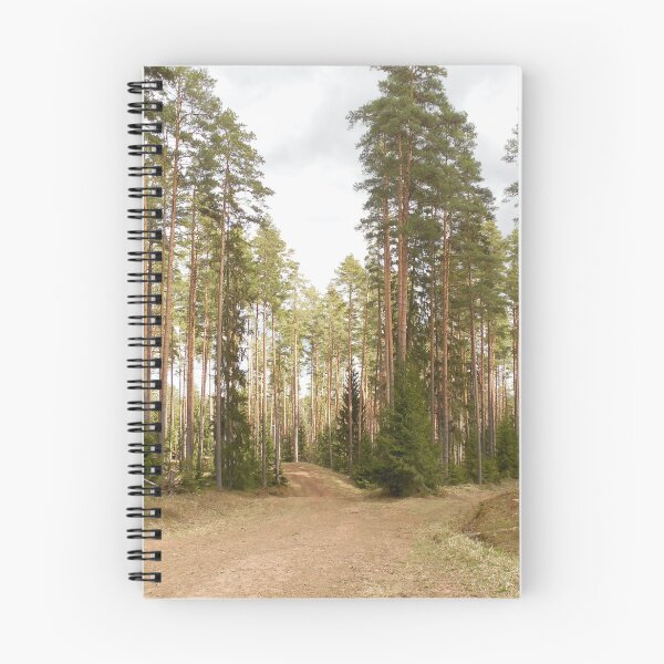 Item preview, Magical forest, which path will you choose? designed and sold by Raigitam.