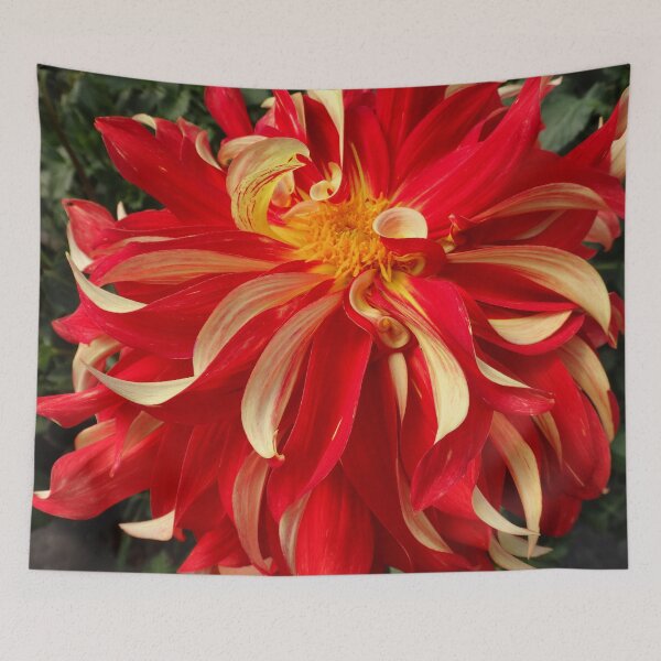 Item preview, Dahlia revolution designed and sold by Maxiverse.