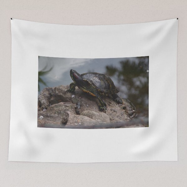 Item preview, Red-eared Terrapin designed and sold by lezvee.