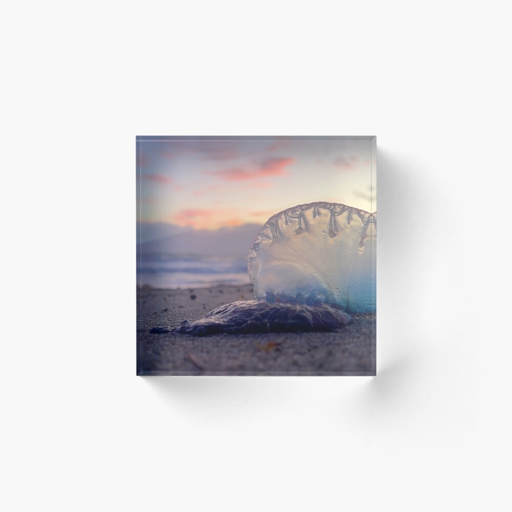 Item preview, Acrylic Block designed and sold by Beardeaux.