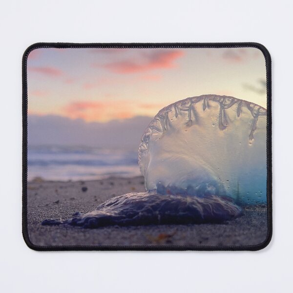 Item preview, Stranded designed and sold by Jason Tompkins.